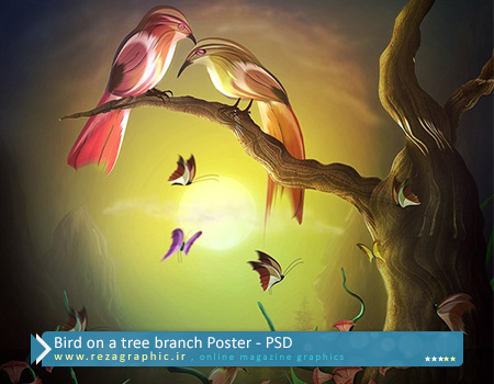 طرح لایه باز پوستر پرنده روی شاخه درخت | رضاگرافیک